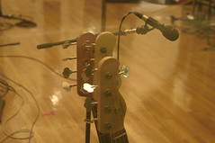 base guitars
